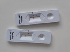 Coronavirus pandemic: the percentage of deaths from COVID-19 in Ukraine is changing