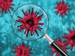 Coronavirus continues to mutate: what is known about the new Arcturus strain