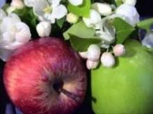 Scientists: apples can make the body younger