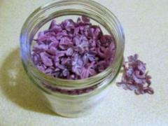 Buzku s exuberant power: folk medicine