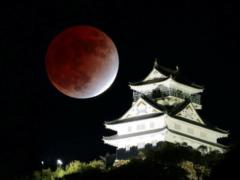 A lunar eclipse will take place this week: where you can see it