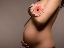 All pregnant women to the dentist