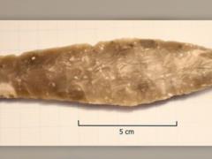 Eight-year-old schoolgirl from Norway accidentally found a stone age dagger