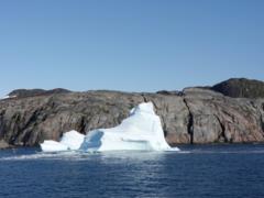 The temperature of the ocean reached a record for 100 thousand years: what will happen next
