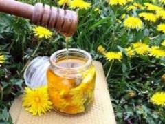 Luxurious power of kulbabi: folk recipes