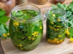 Tsya roslina is rejoicing in the presence of a rich ailment: the king of power tansy is great