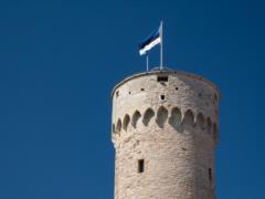 Employment in Estonia: how many Ukrainian refugees found work