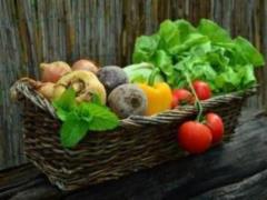 Гепатолог Южнова назвала продукты, от которых следует «держаться подальше» для здоровья печени