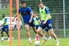 Oleksandria — Dynamo. Forward the day