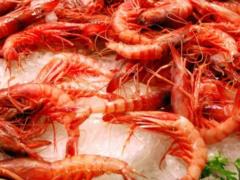 An experiment on the development of mariculture is being launched in Ukraine