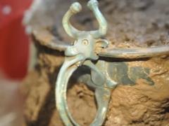 Metal detector finds Roman bowl with bull s head in Wales