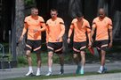 Zorya — Shakhtar. Forward the day