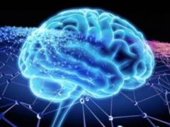 The psychologist chimed in with crossword puzzles on a healthy brain