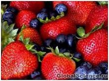 What foods can you eat when you want
