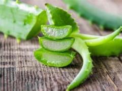 Dermatologists and doctors named the best ways to use aloe vera