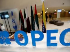OPEC urges to increase refining capacity due to rising demand