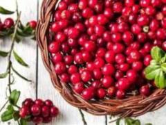 Dietologist raspovila about the bark of the crane for the prevention of cancer