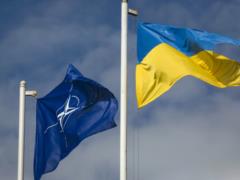 Members of parliaments of NATO countries see Ukraine as part of the Alliance - Speaker of the Seimas of Lithuania