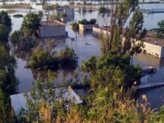 The only sturgeon plant in Ukraine is completely flooded - Ministry of Agrarian Policy