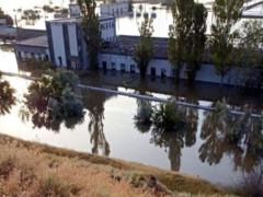 Kherson plant for breeding young fish is under the threat of complete flooding - Ministry of Agrarian Policy