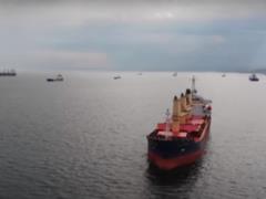 Russia blocks the export of Ukrainian grain: a maximum of two ships a day are inspected
