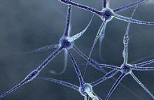 Cancer will be treated with the influenza virus