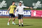 The choice of Ukraine introduced the tactical elements of the game model of Rebrov near Bremen