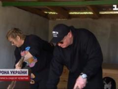 Koshevoy, Kazanin and Ptushkin showed how they helped animals in a shelter in Irpen