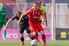 Lebedenko and Hondak play from the first whistle to the match-vіdpovіdі against Metalurh Zaporizhzhya