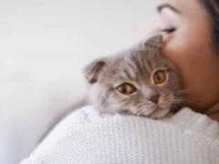Cat Allergy: Causes, Symptoms and Management