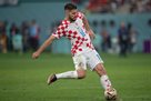 Petkovic: The Netherlands is a strong and really classy team