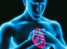 Thyroid hormones and their functions in the body