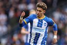 Brighton continued the contract from Sarmiento