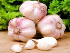 Health benefits of garlic