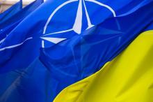 NATO can allow Ukraine to join the simplified procedure - Minister of Defense Nimechchin