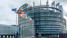 The European Parliament, calling on Zelensky not to sign the super-efficient reform of the city