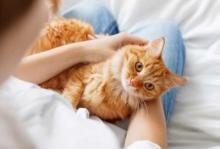 5 strange but effective ways to improve sleep