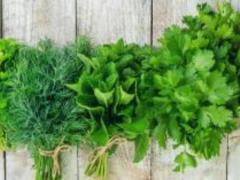 How to keep herbs fresh longer