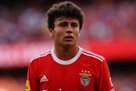 Manchester United are involved in the fight for the new star of Benfica