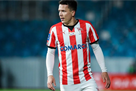 Konoplyanka, Luzhny and Levchenko will play in a favorable match for the support of Ukraine