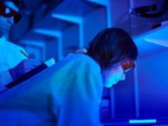 Effects of UV rays on humans: a study