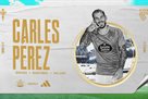 Carles Perez - Celti Grave