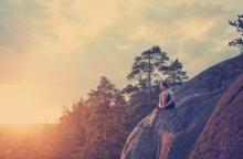 Trees: natural healers