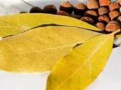 Shkidlivy and brown cholesterol: an overview of the retail
