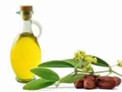Jojoba Essential Oil: Properties and Benefits