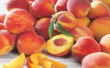 Why do some foods taste better than others?