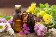 Essential oils can help treat cancer