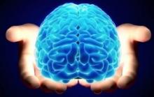 Herpes virus for brain cancer treatment has been tested for safety