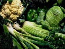 Chinese cabbage: affordable pleasure