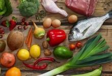 Scientists: reducing the calorie intake of food leads to body stress